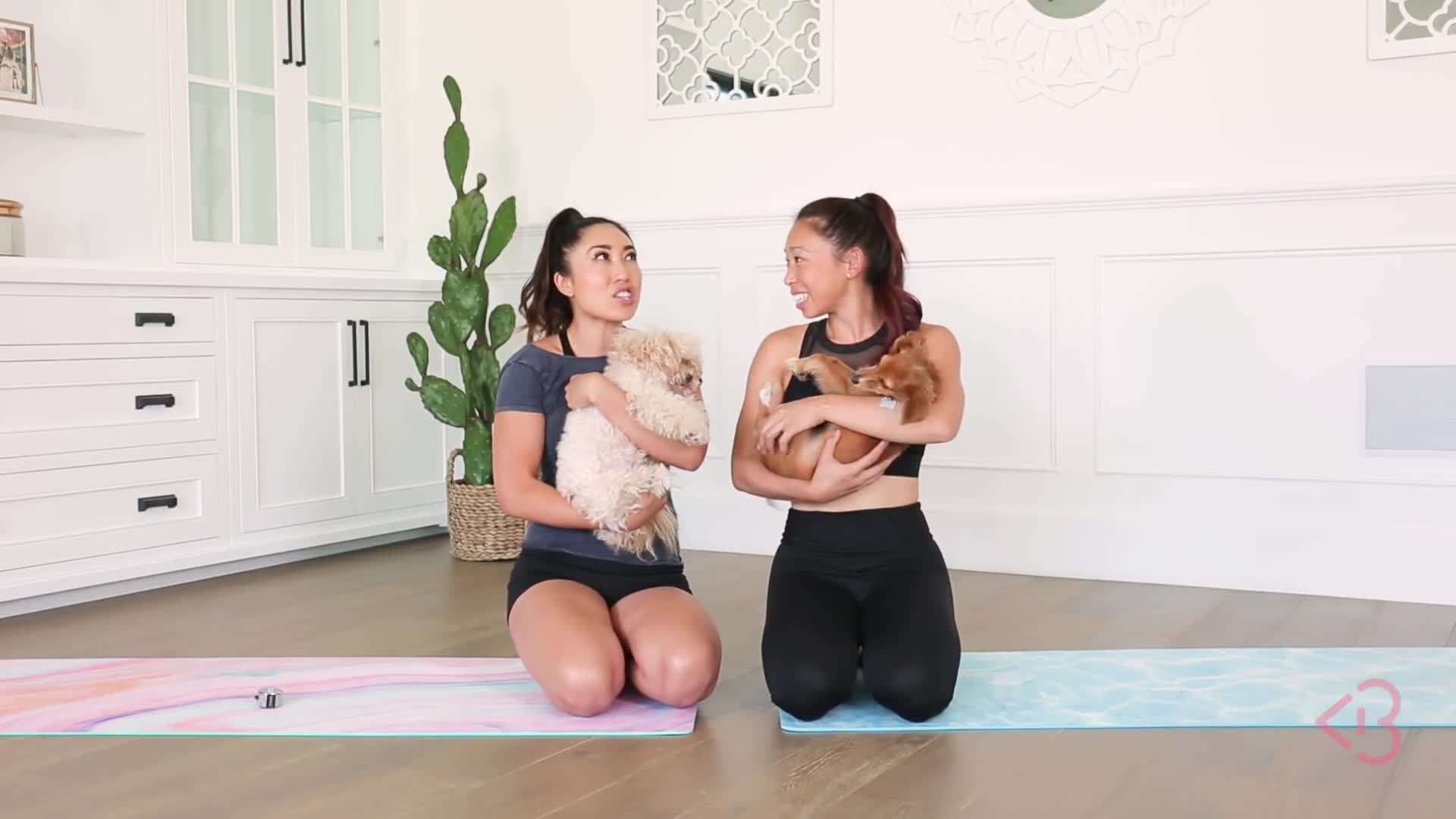 Fire Hydrant Kicks Exercise - Leg Lift