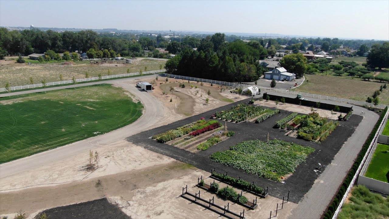Planting A Wichita Blue Juniper and Blue Blazes Hyssop: A Gardening Guide
