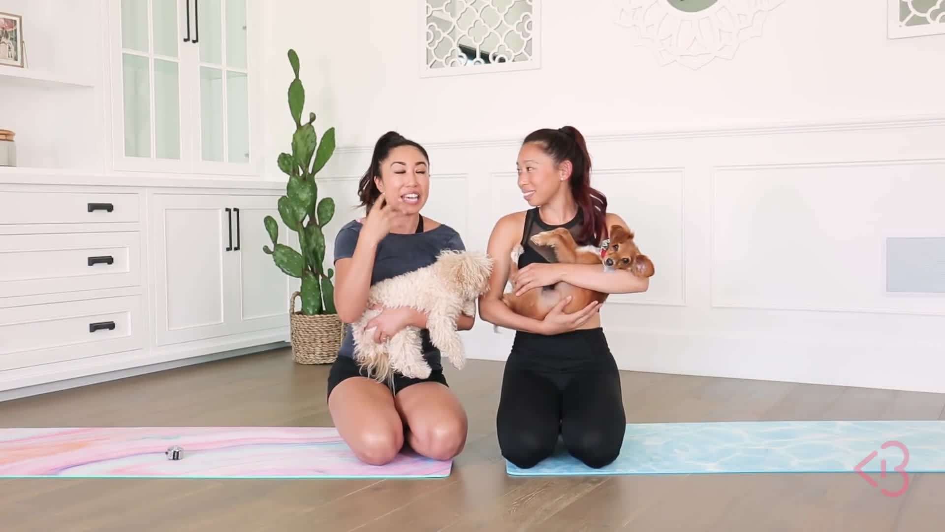 Fire Hydrant Kicks Exercise - Leg Extension