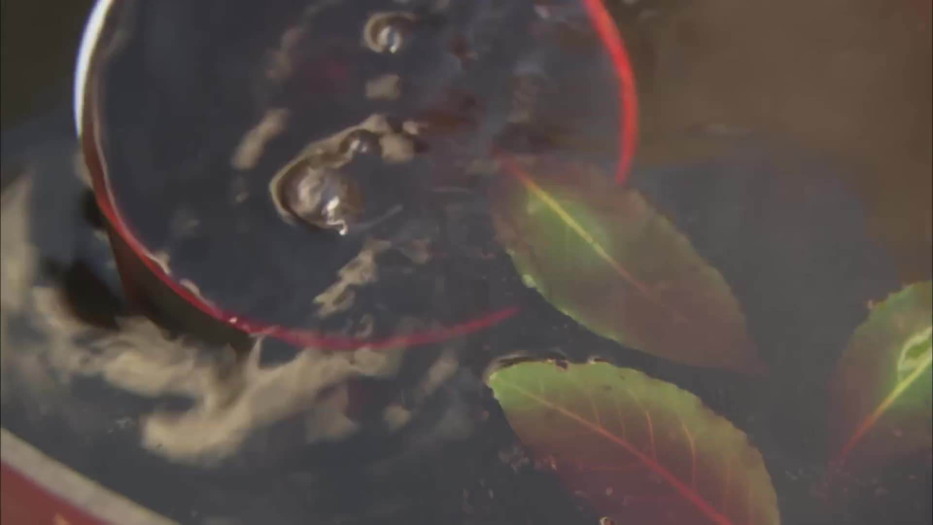 Golden and crispy porchetta, a perfect centerpiece for your Christmas table