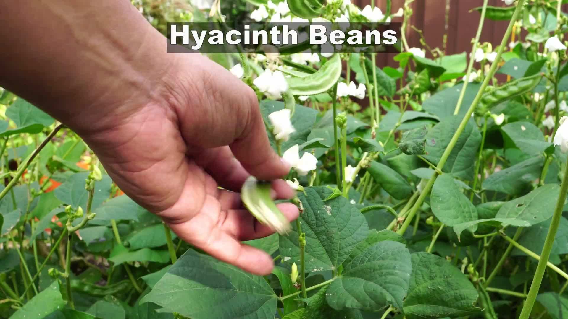 Relaxing in the garden during the festive season