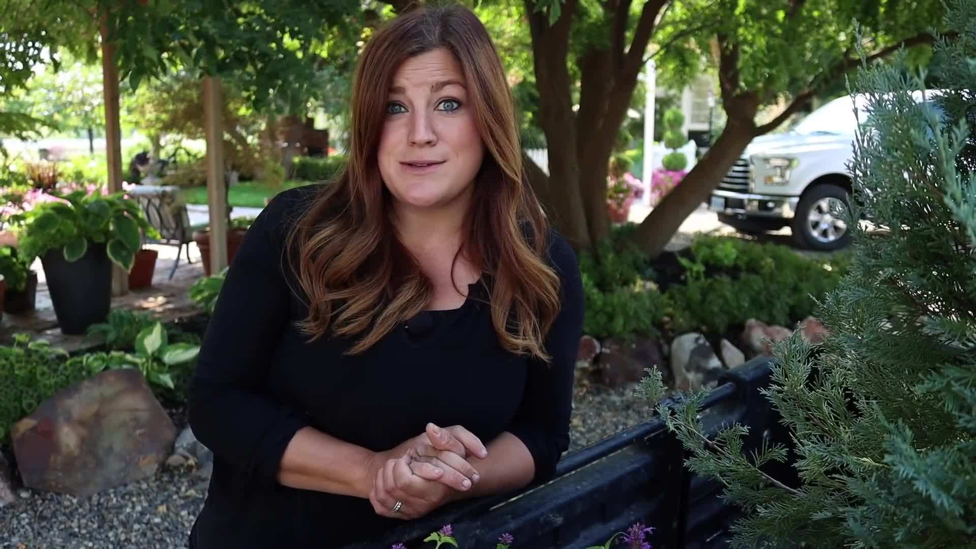 Wichita Blue Juniper