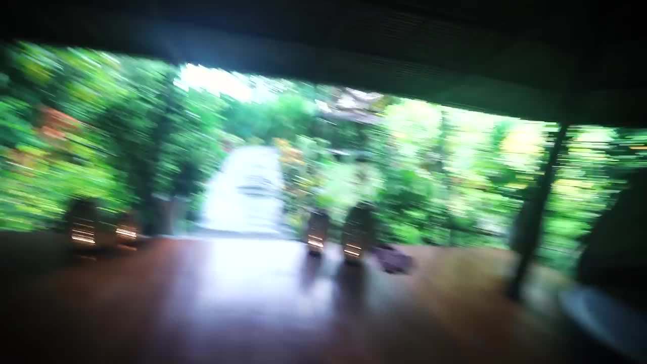 Observing diverse bird species in a mangrove forest