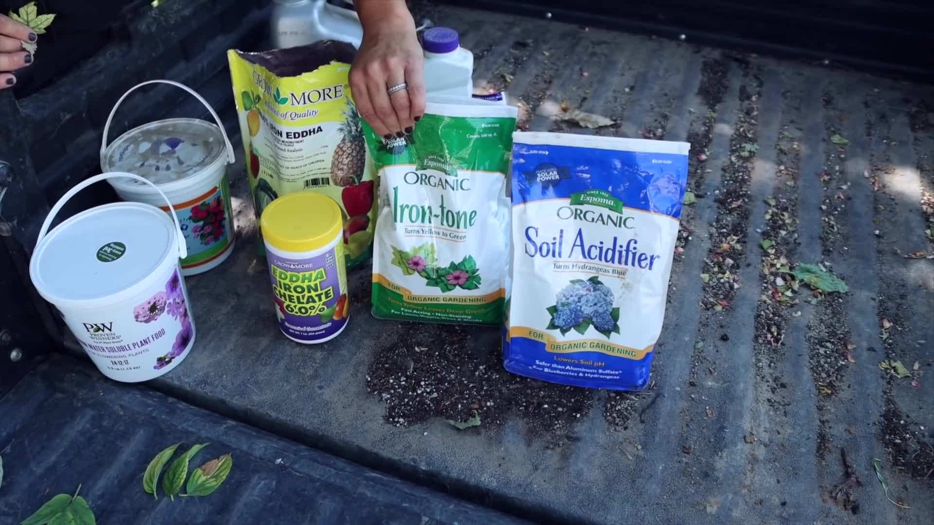 Espoma Iron Tone - an organic iron supplement for plants