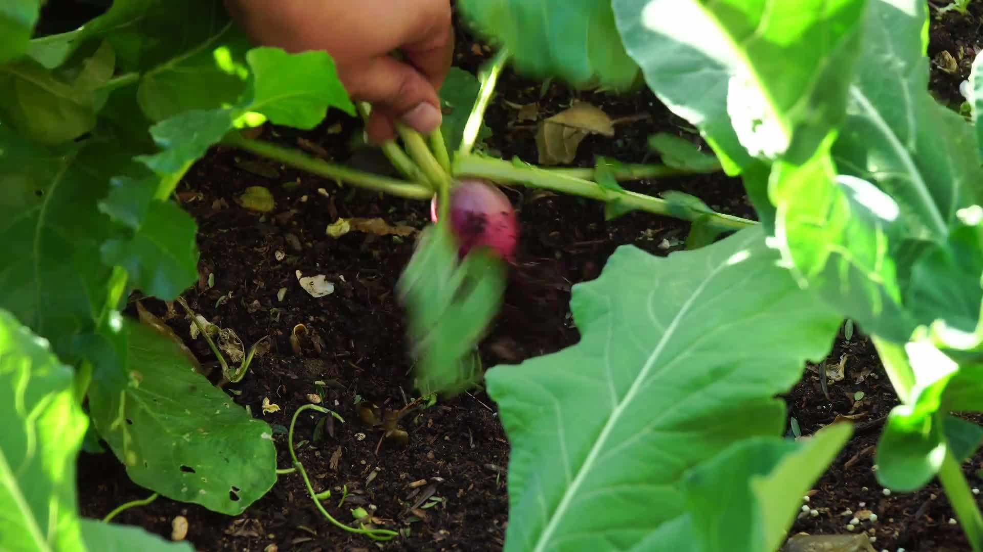 Pruning dead branches for healthy growth