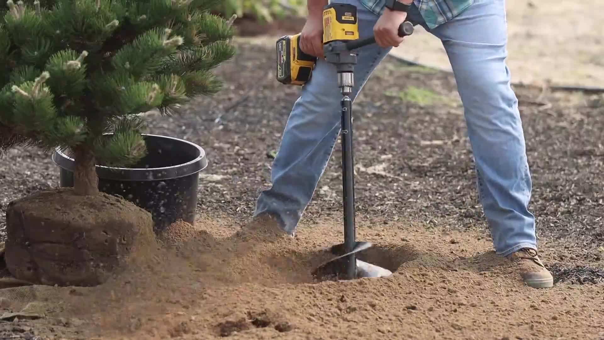 Watering pine trees deeply