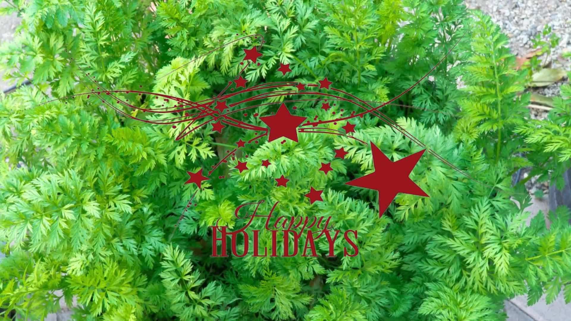 Creating a planting schedule for the upcoming year