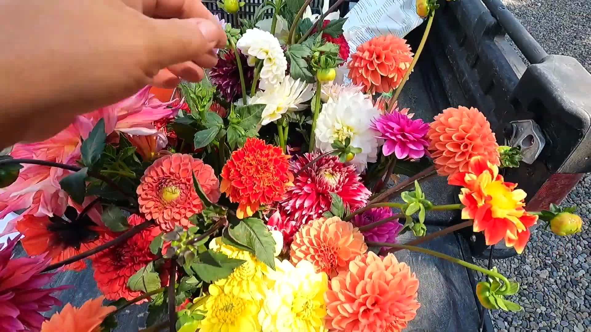 Amending the soil with organic matter