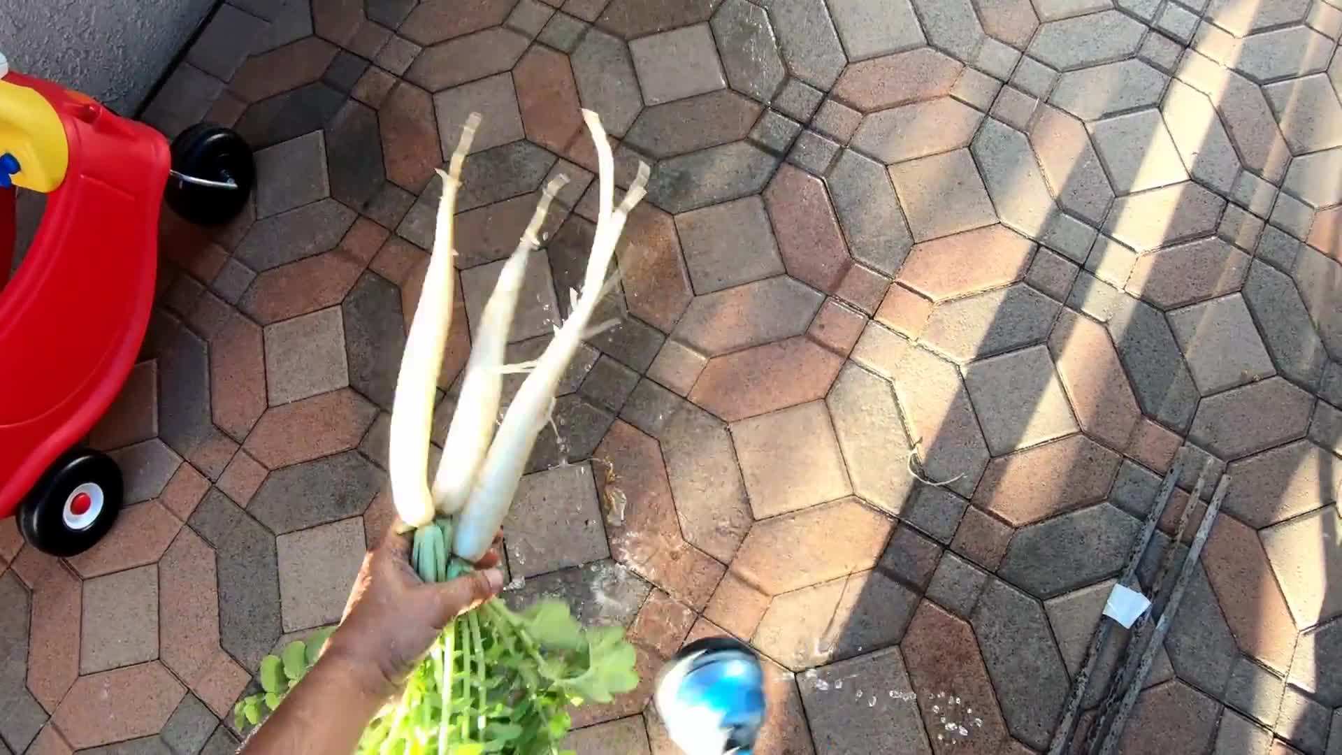 Collecting rainwater for eco-friendly gardening