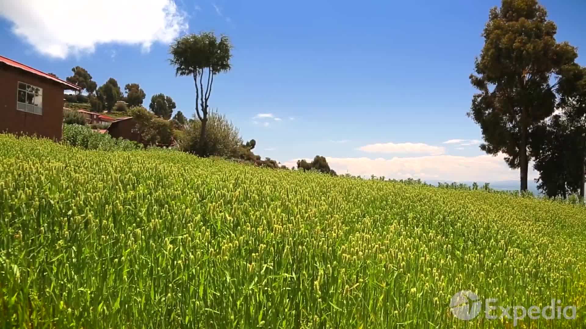 Moon Valley - Otherworldly landscapes