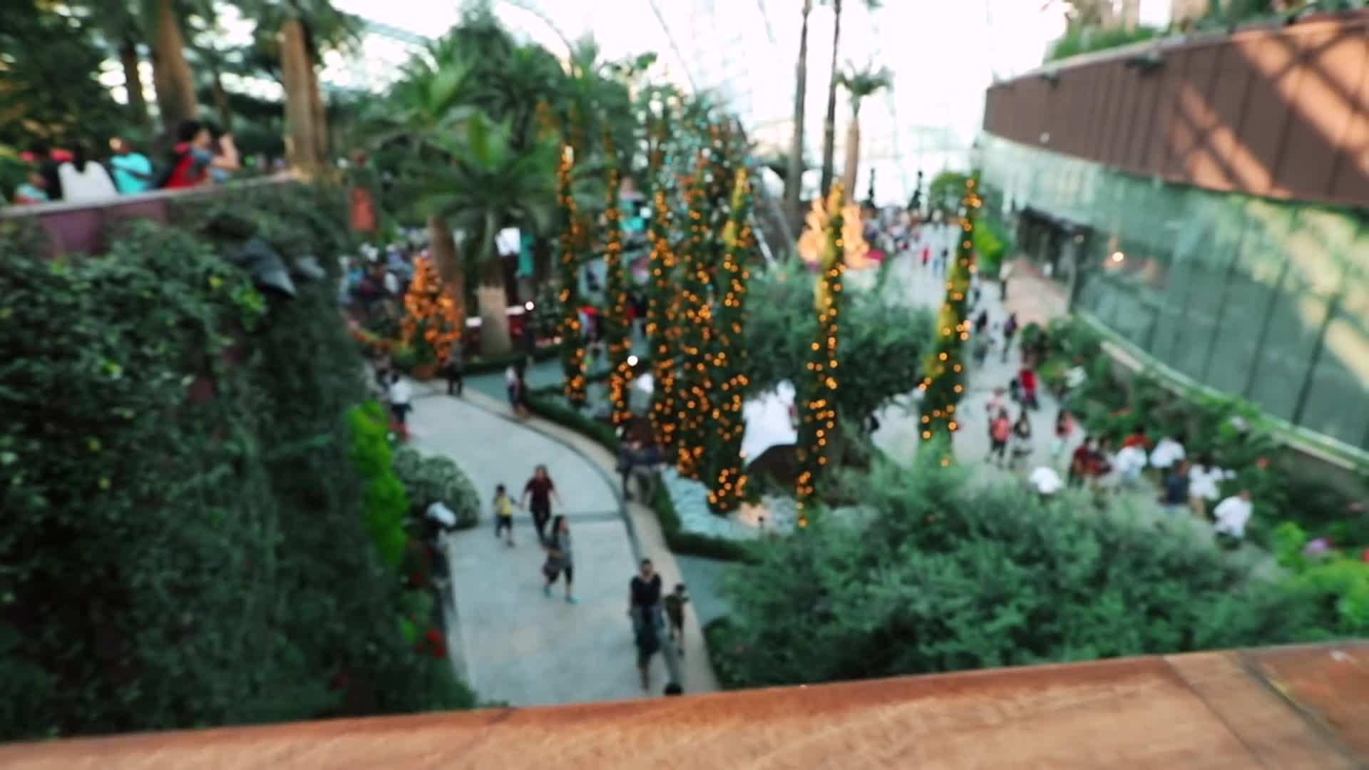 Local Hawker Center - Delicious Street Food