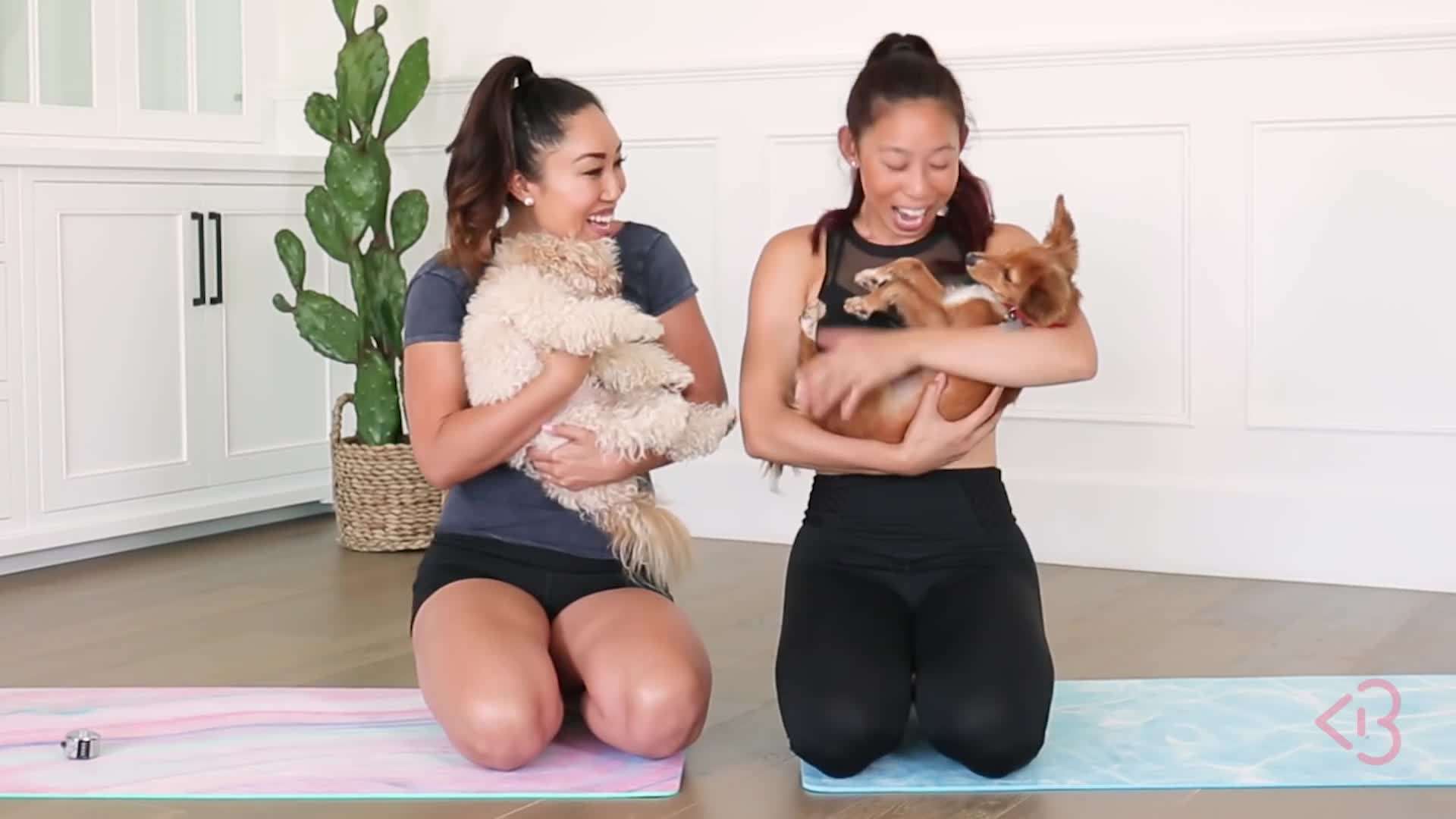 Fire Hydrant Kicks Exercise - Starting Position