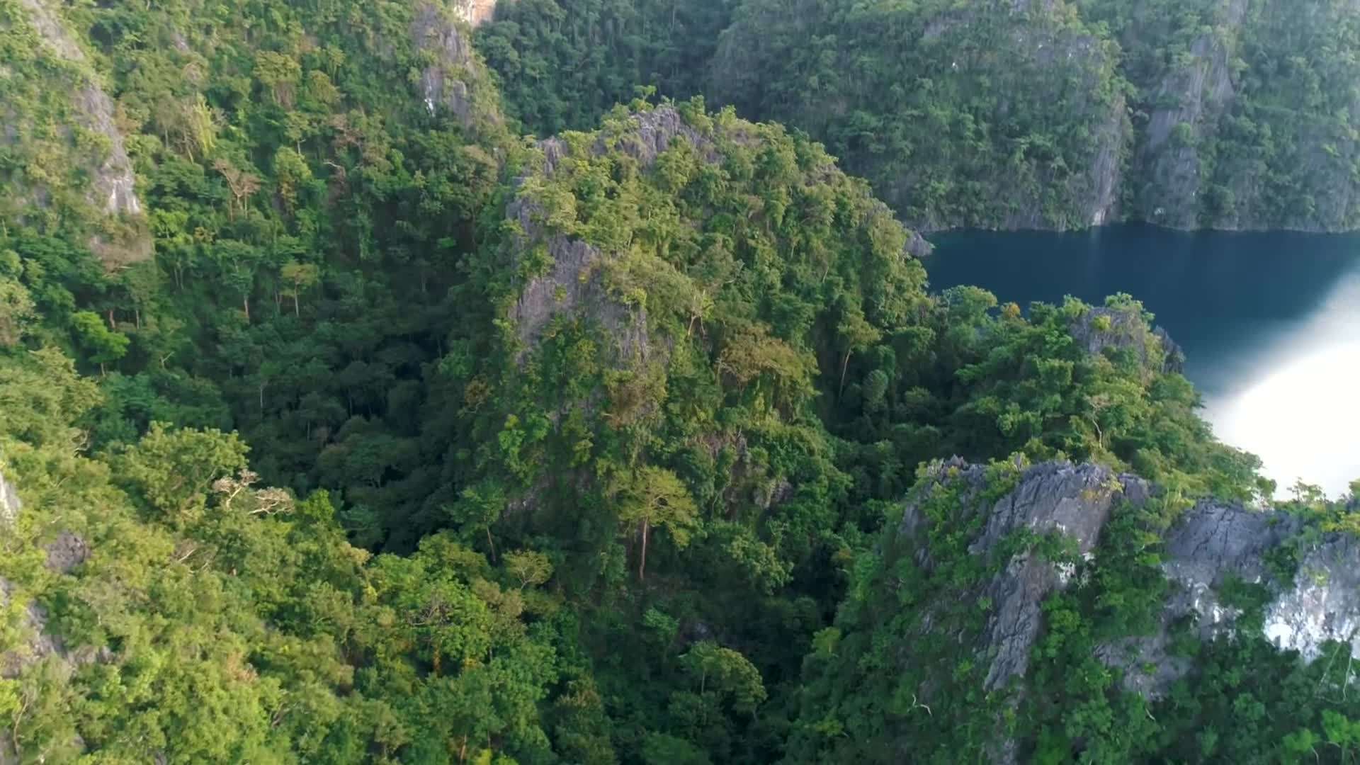 Imaginary illustration of Kayangan, the giant sea monster believed to inhabit the waters of Coron