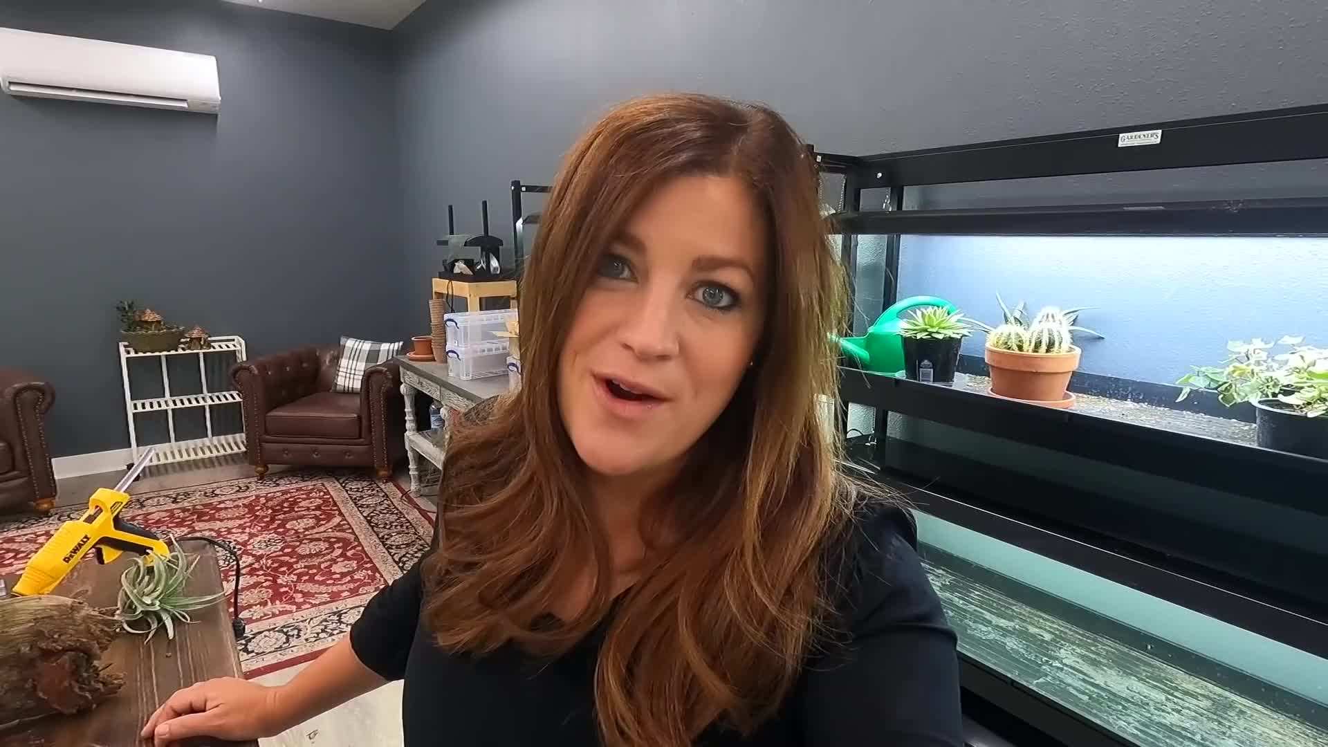 Miniature Woodland Tabletop Garden