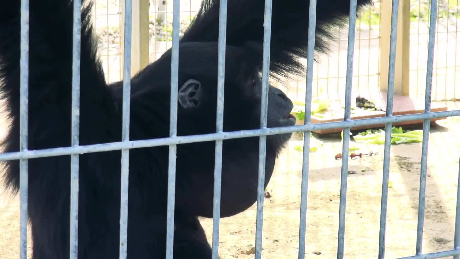 The exterior of my tiny house, showcasing its compact and sustainable design