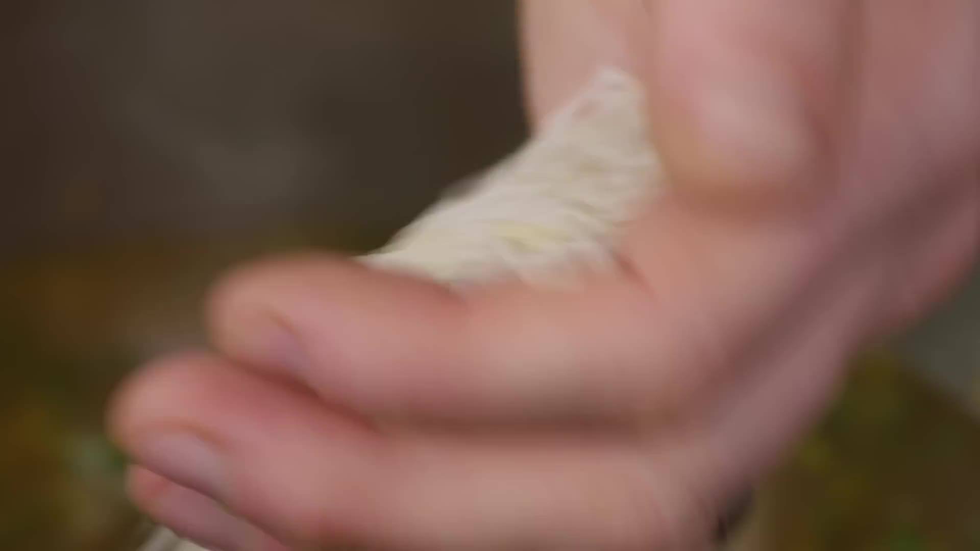 Spices used to add flavor to Mulligatawny Soup