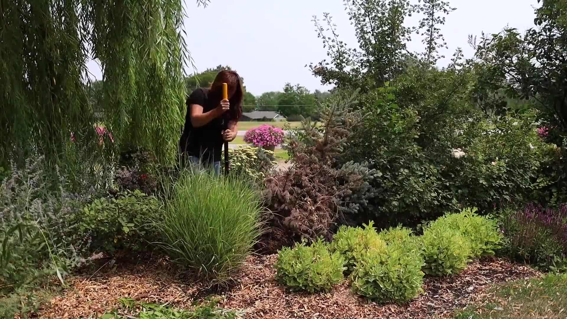 Clearing the flower bed of weeds and unwanted plants