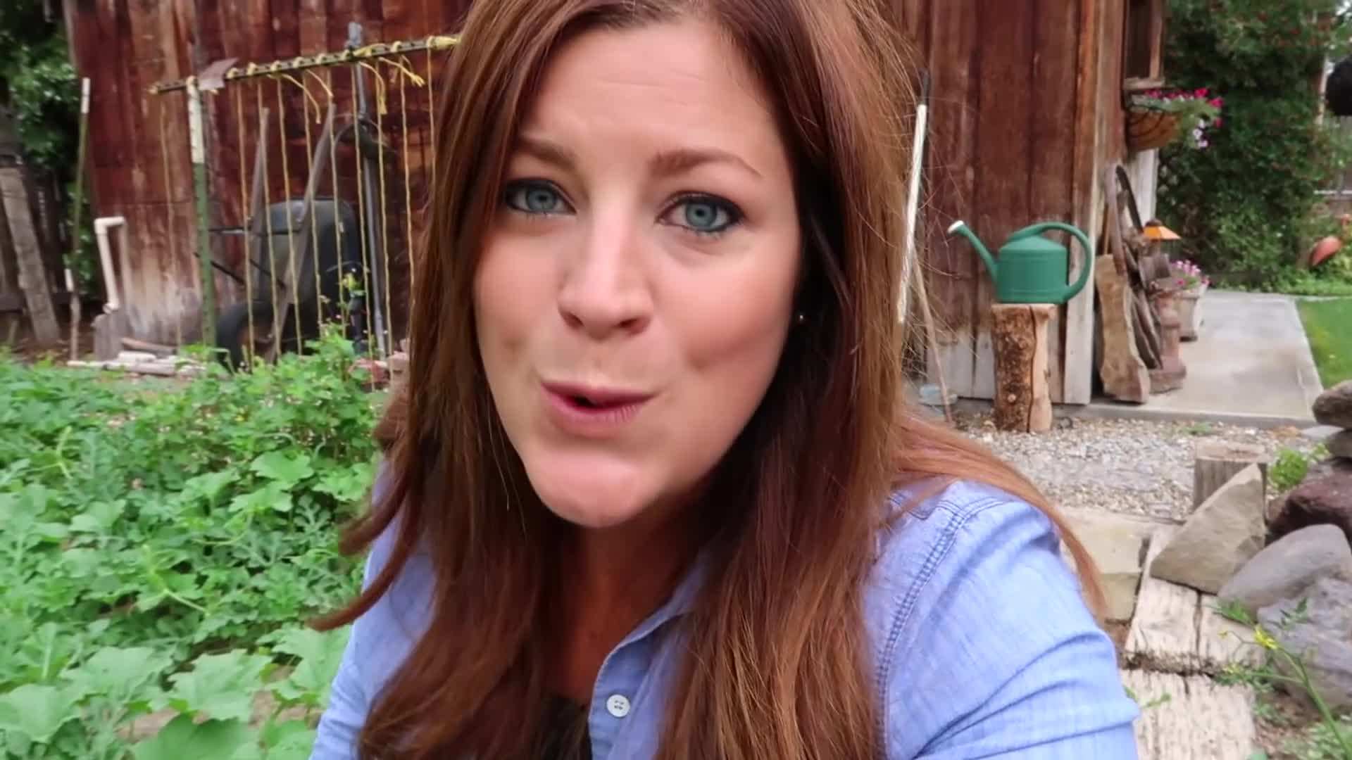 FELCO 2 Pruners - Precision pruning tool for thinning fruit trees