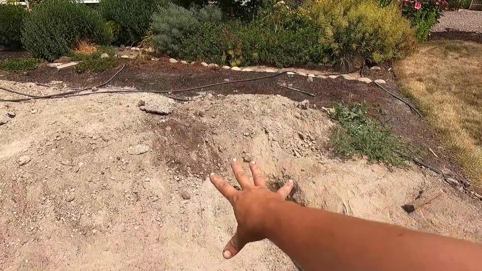 Felco 2 Pruners - Essential for precise pruning