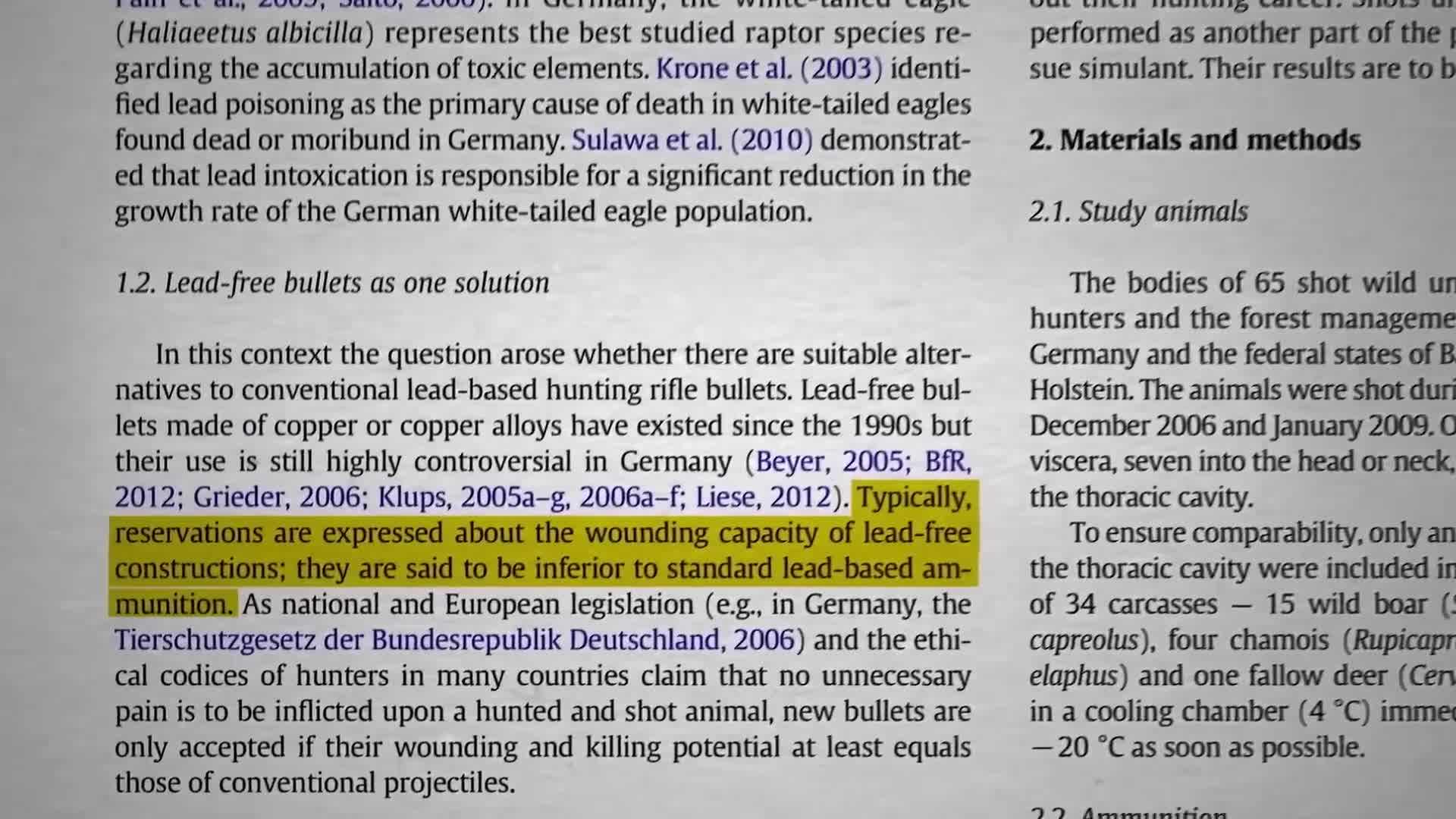 Lead contamination in organic chicken soup