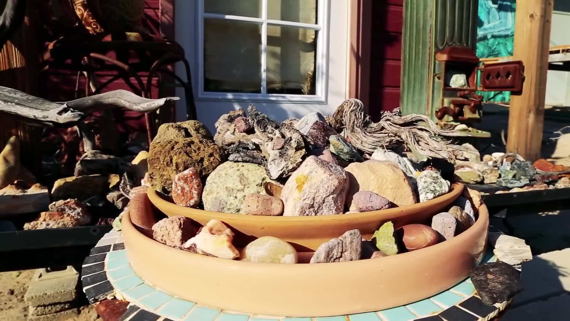A group of gibbons engaging in social grooming