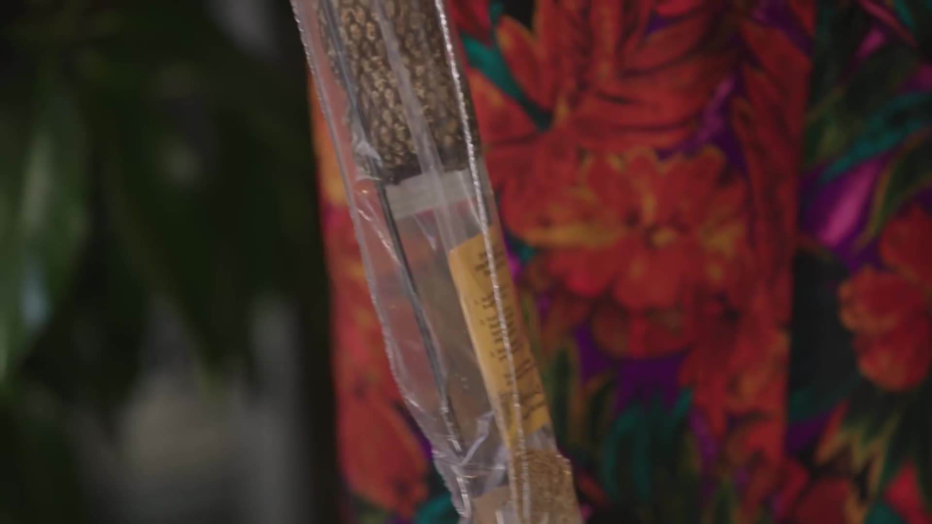 Understanding light direction in an east-facing room