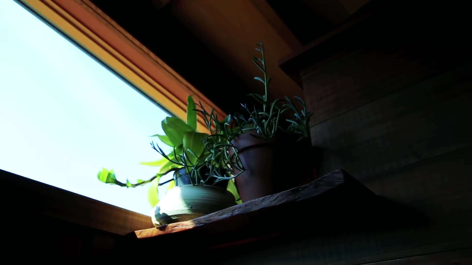 Energy-efficient appliances for reduced utility bills