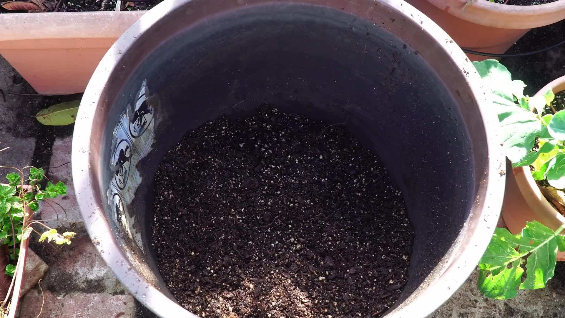 Containers with proper drainage holes