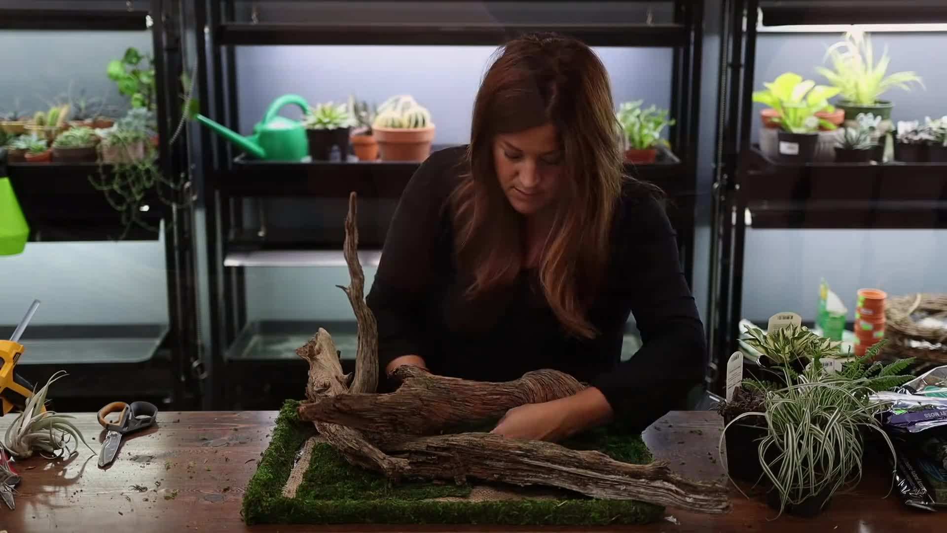 Miniature Woodland Tabletop Garden