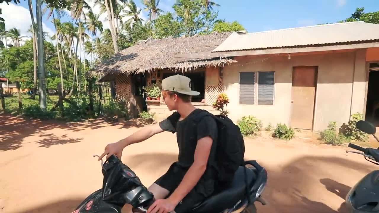 Lush palm trees along Nacpan Beach