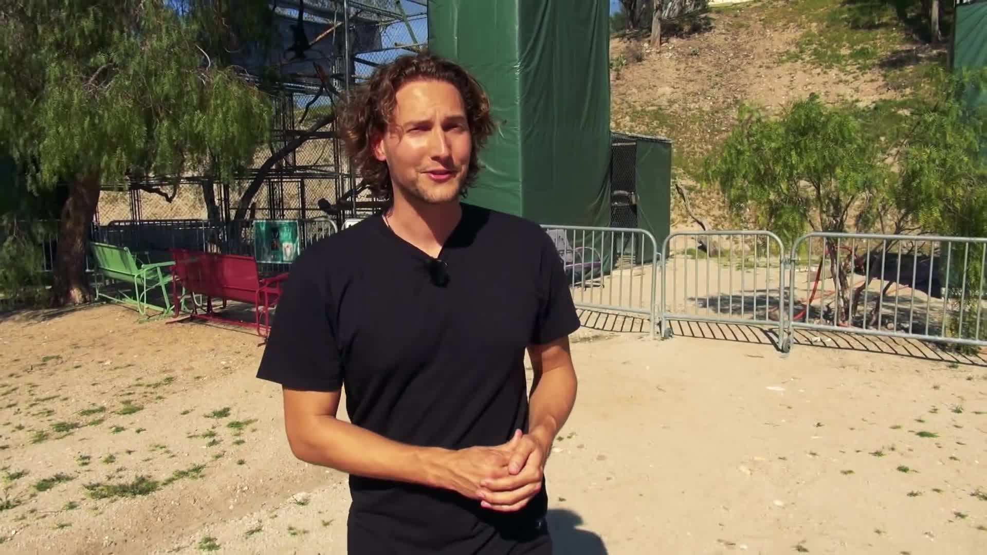A view of my tiny house amidst the lush greenery of the Gibbon Conservation Center