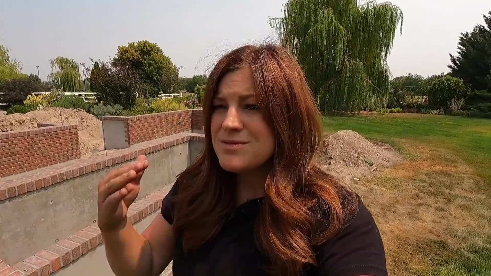 Dewalt 20v Cordless Pole Saw - Trimming tall branches