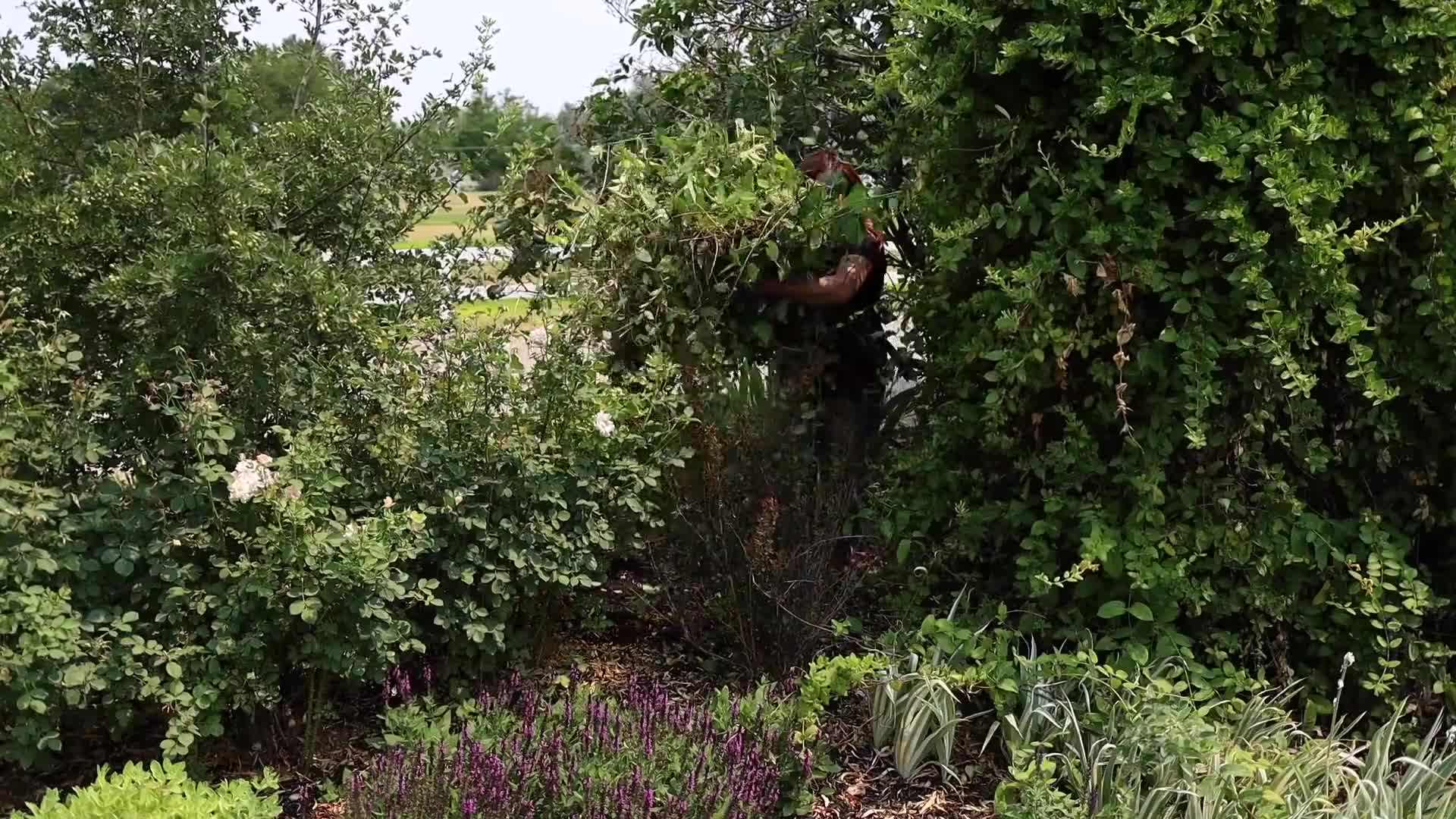 Testing and improving soil quality for optimal plant growth