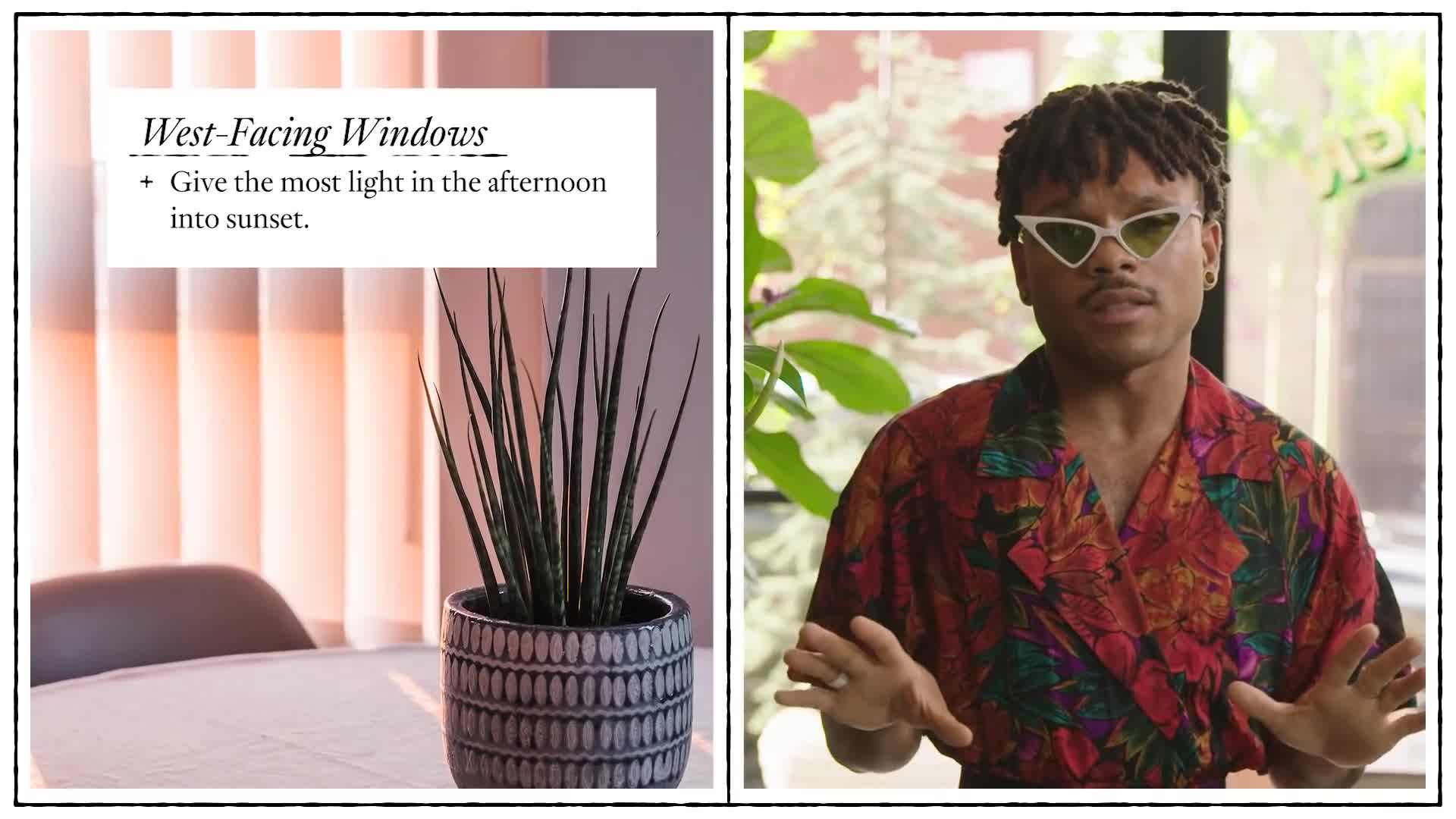 Observing natural light in a north-facing room