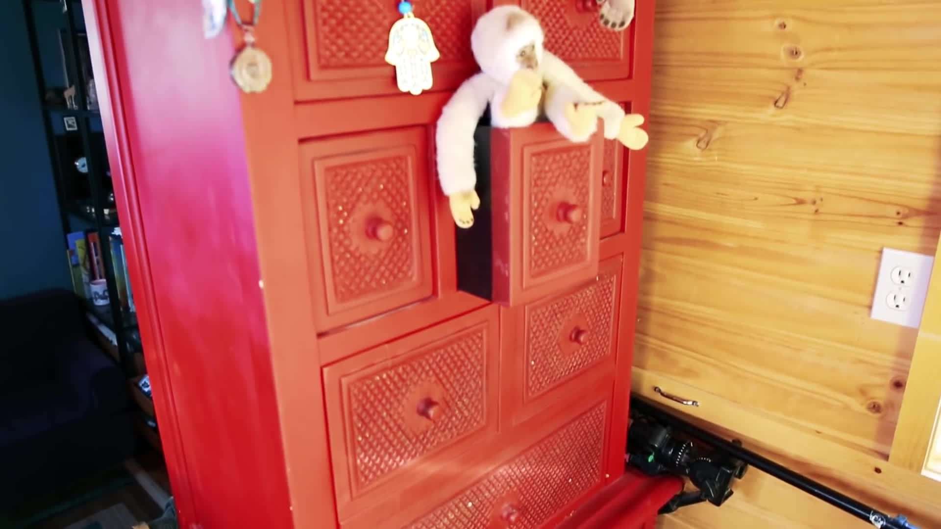 A close-up shot of a gibbon, highlighting their unique features