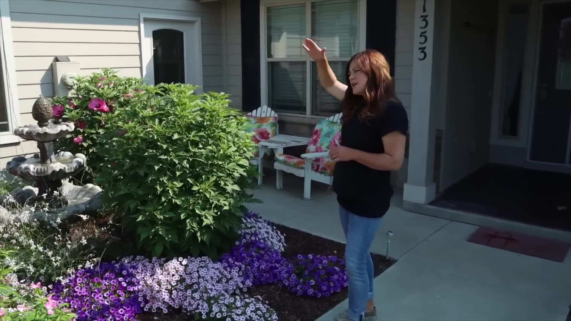 Summerific® 'Candy Crush' Hibiscus in Full Bloom