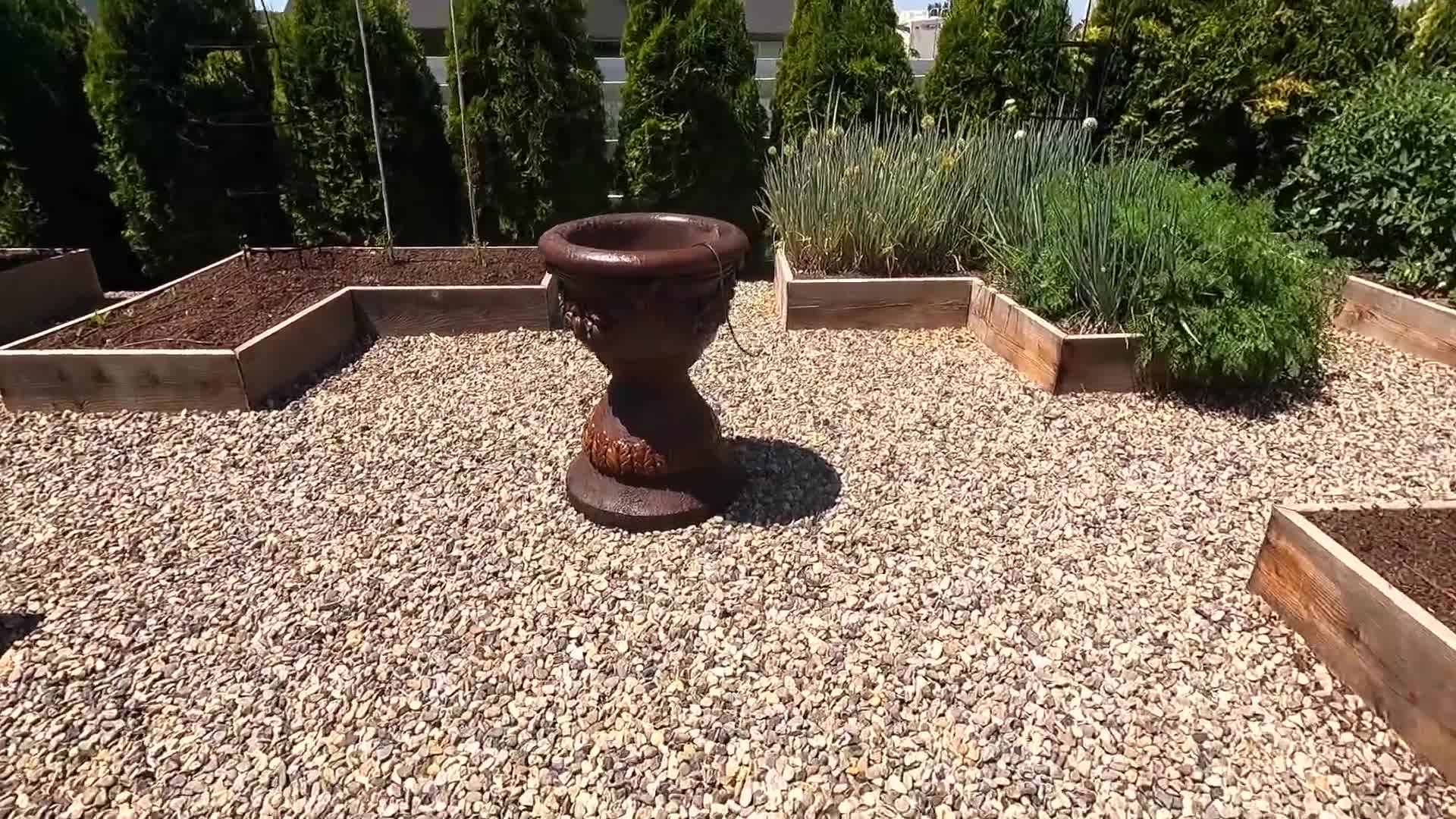 Watering the container after planting