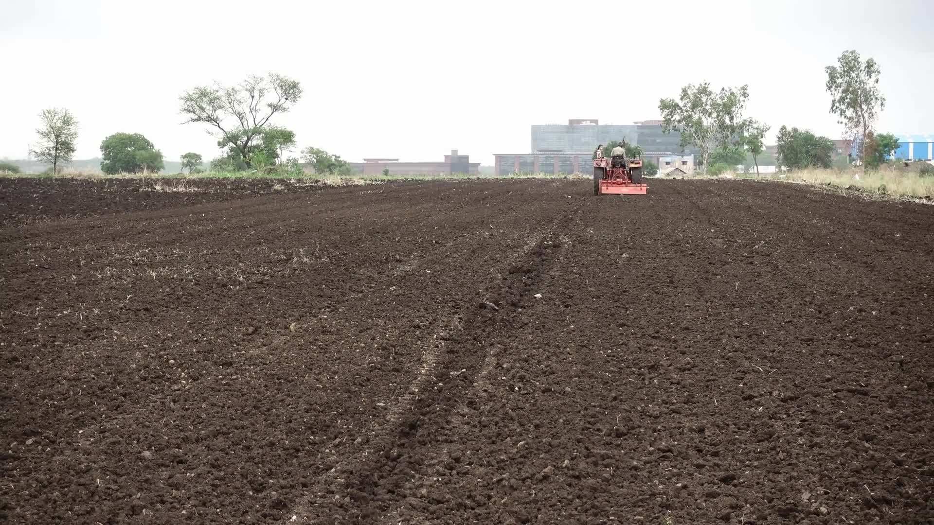 Traditional Indian Garden Sculptures