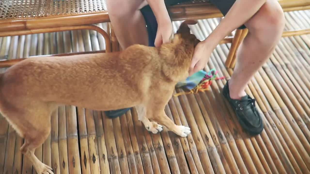 Immerse yourself in the vibrant culture of Ticao Island