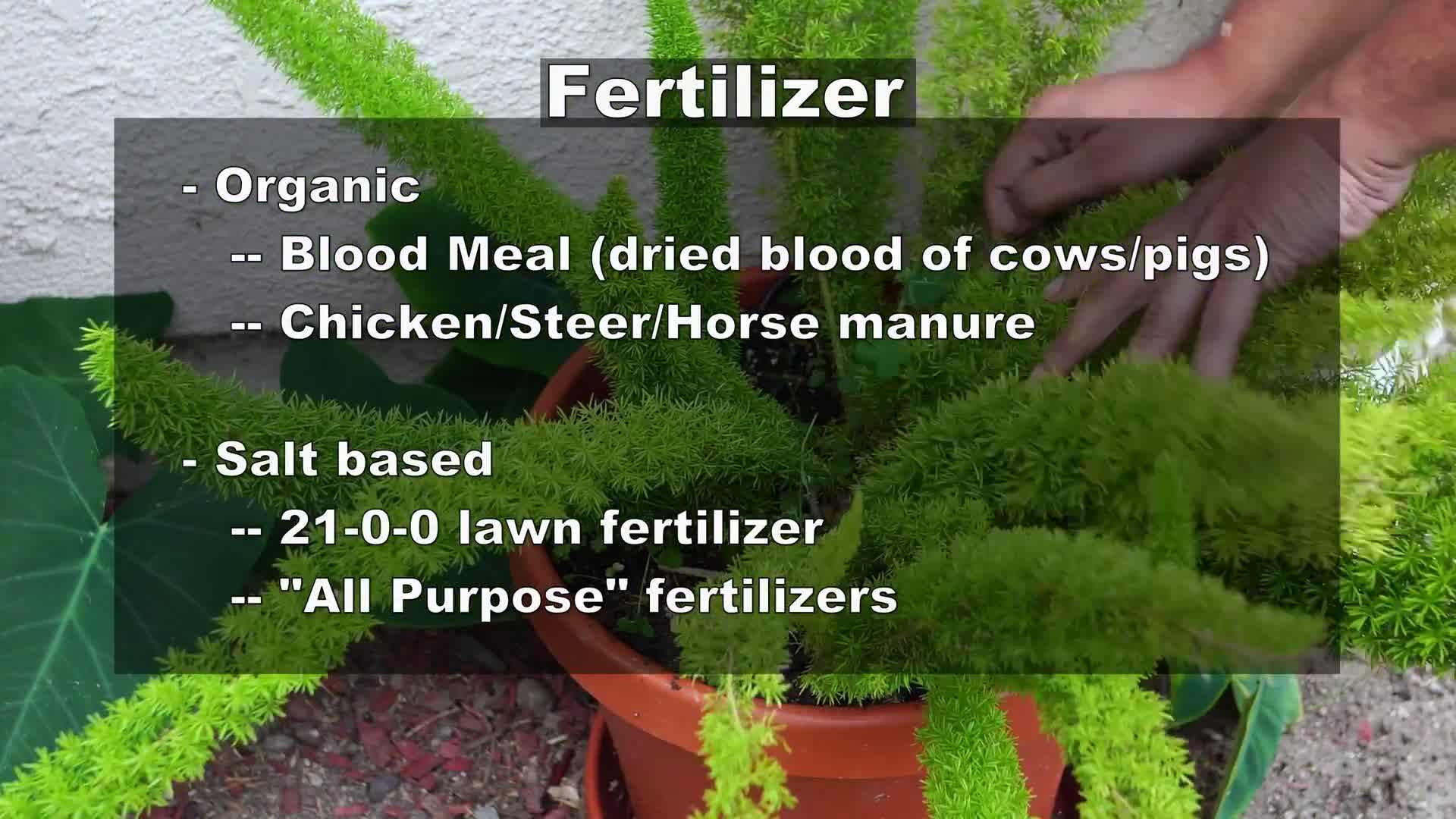 Providing Indirect Light