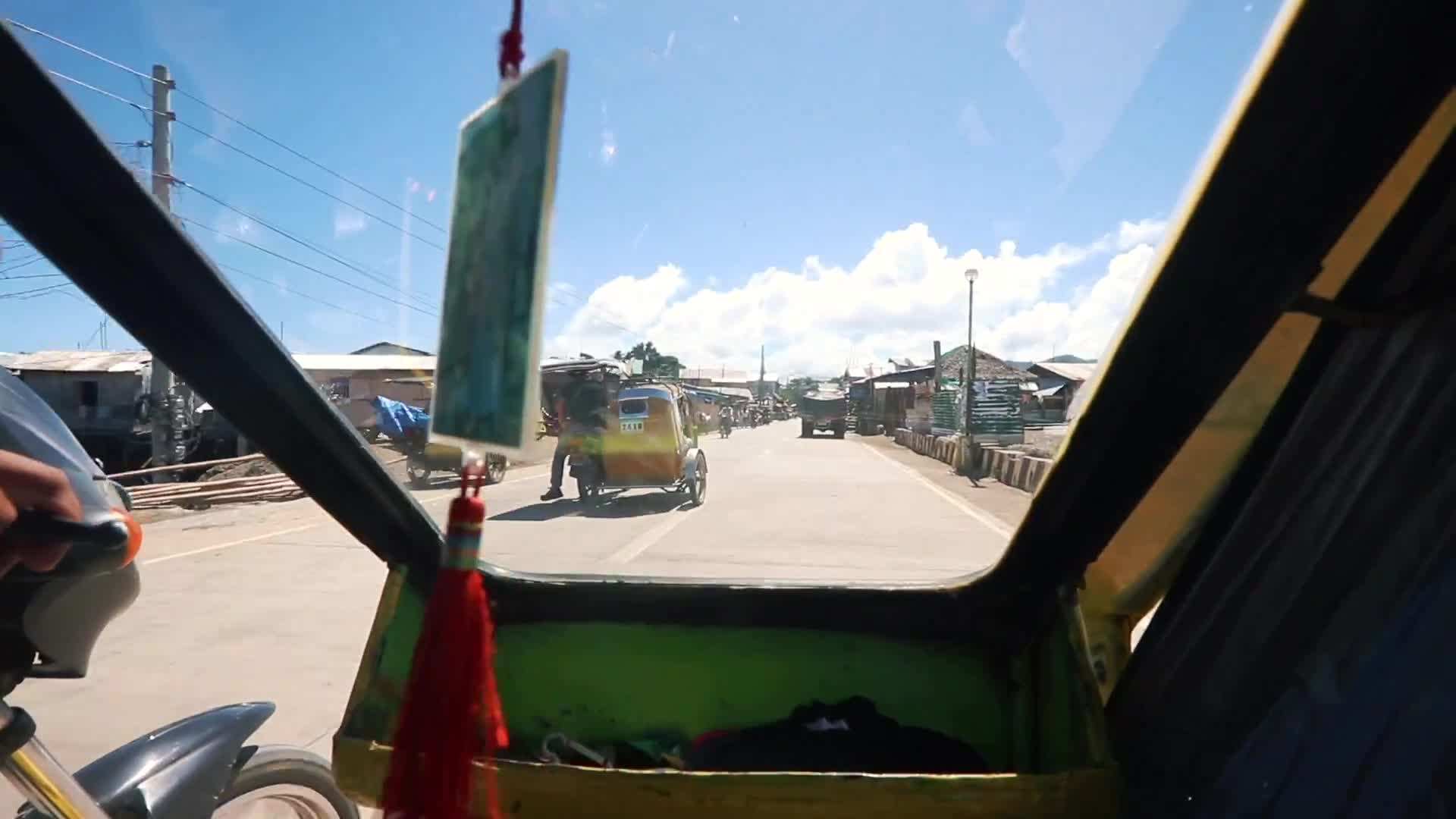 Colorful coral reefs and marine life
