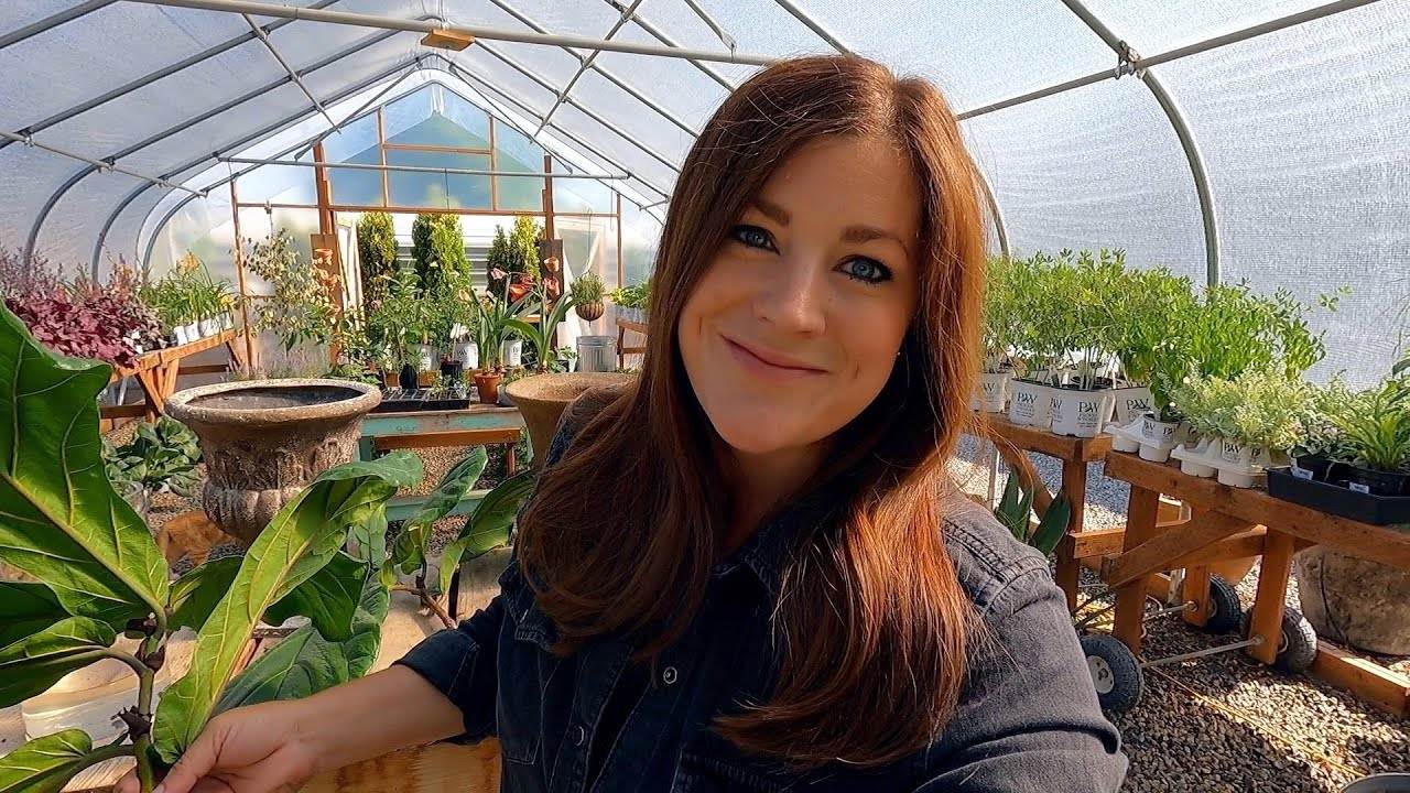 Fiddle Leaf Fig Cutting Update + Potting Up New Citrus, Papaya & Hardy Fig! ππΏπ // Garden Answer