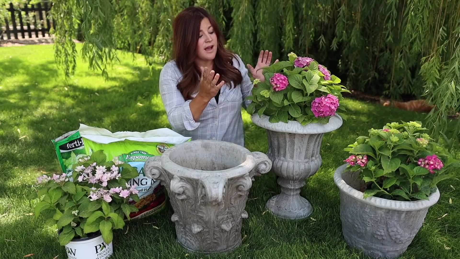 Using a well-draining potting mix