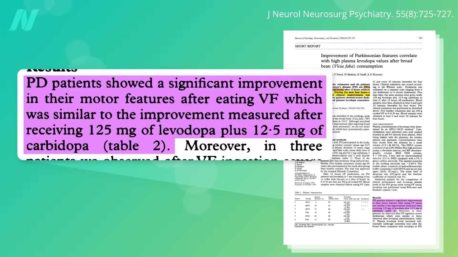 Illustration of fava beans