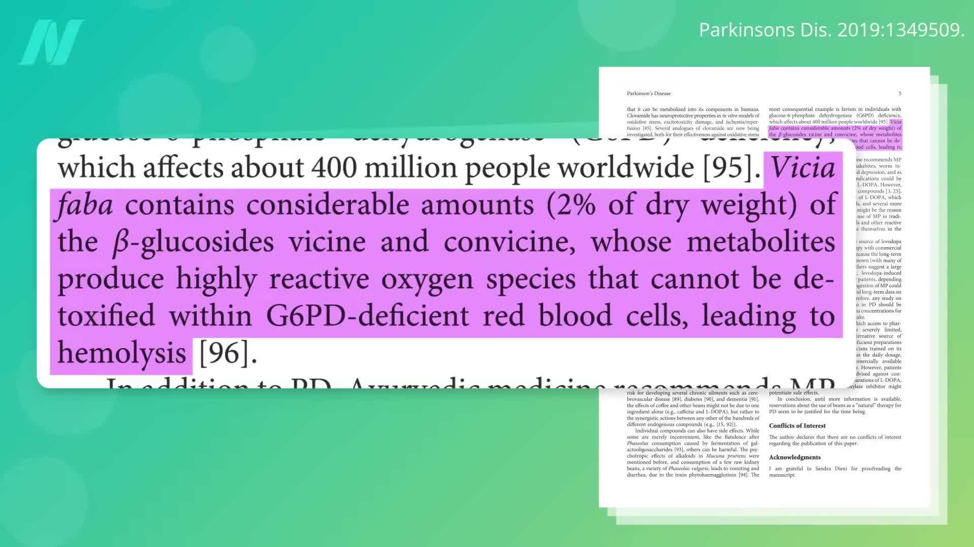 Illustration showing a plate of fava beans