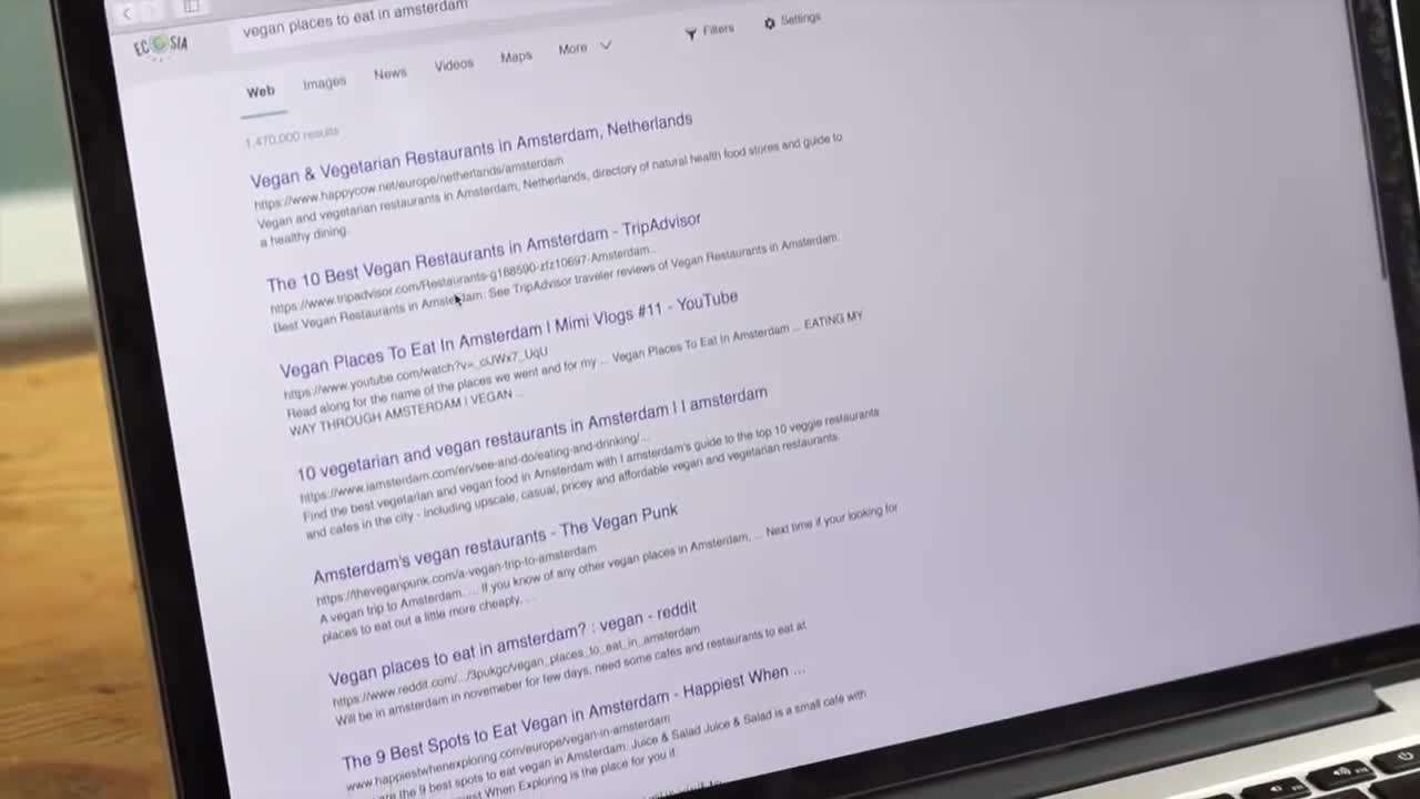 Browsing the Net with Ecosia