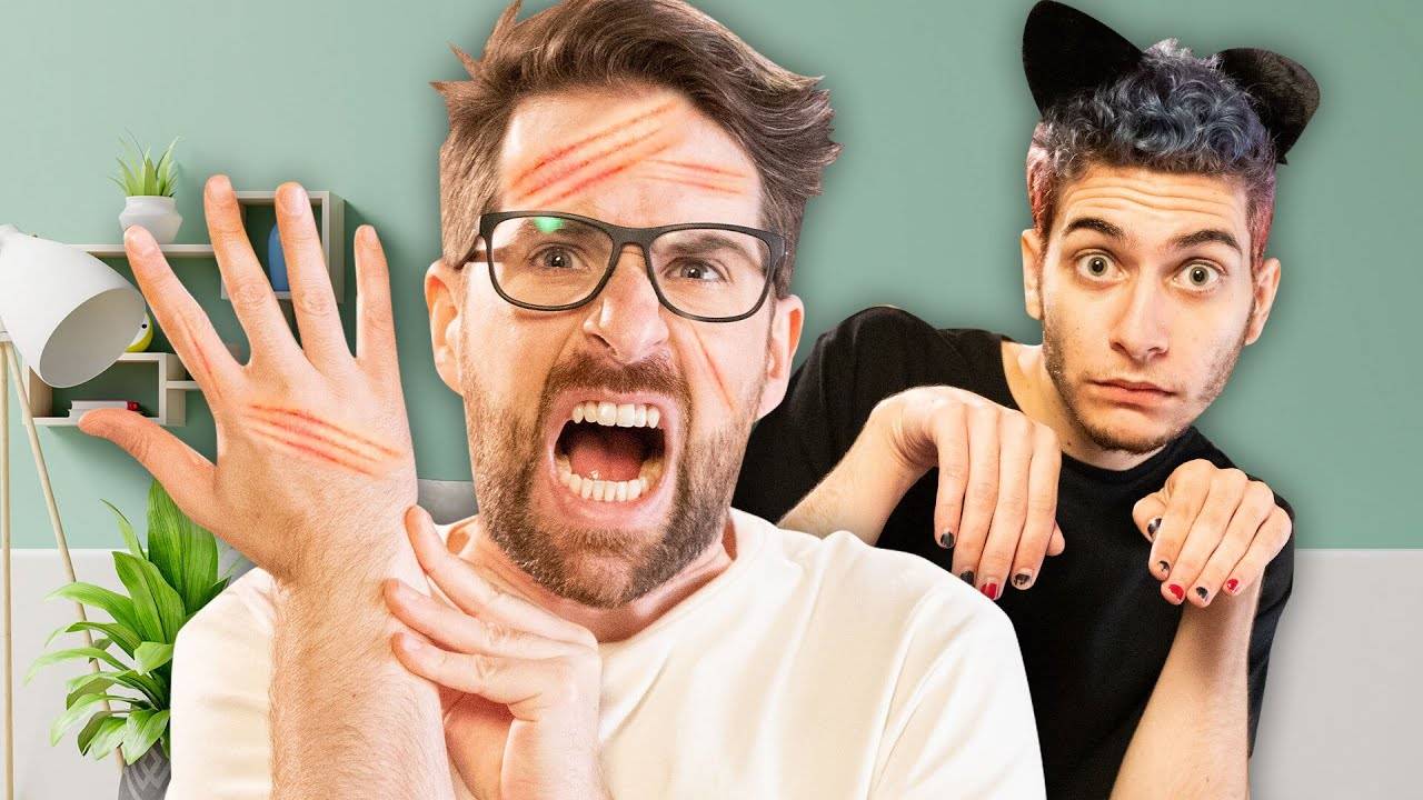 Surviving 24 Hours With a Cat From Hell: A Guide for the Brave