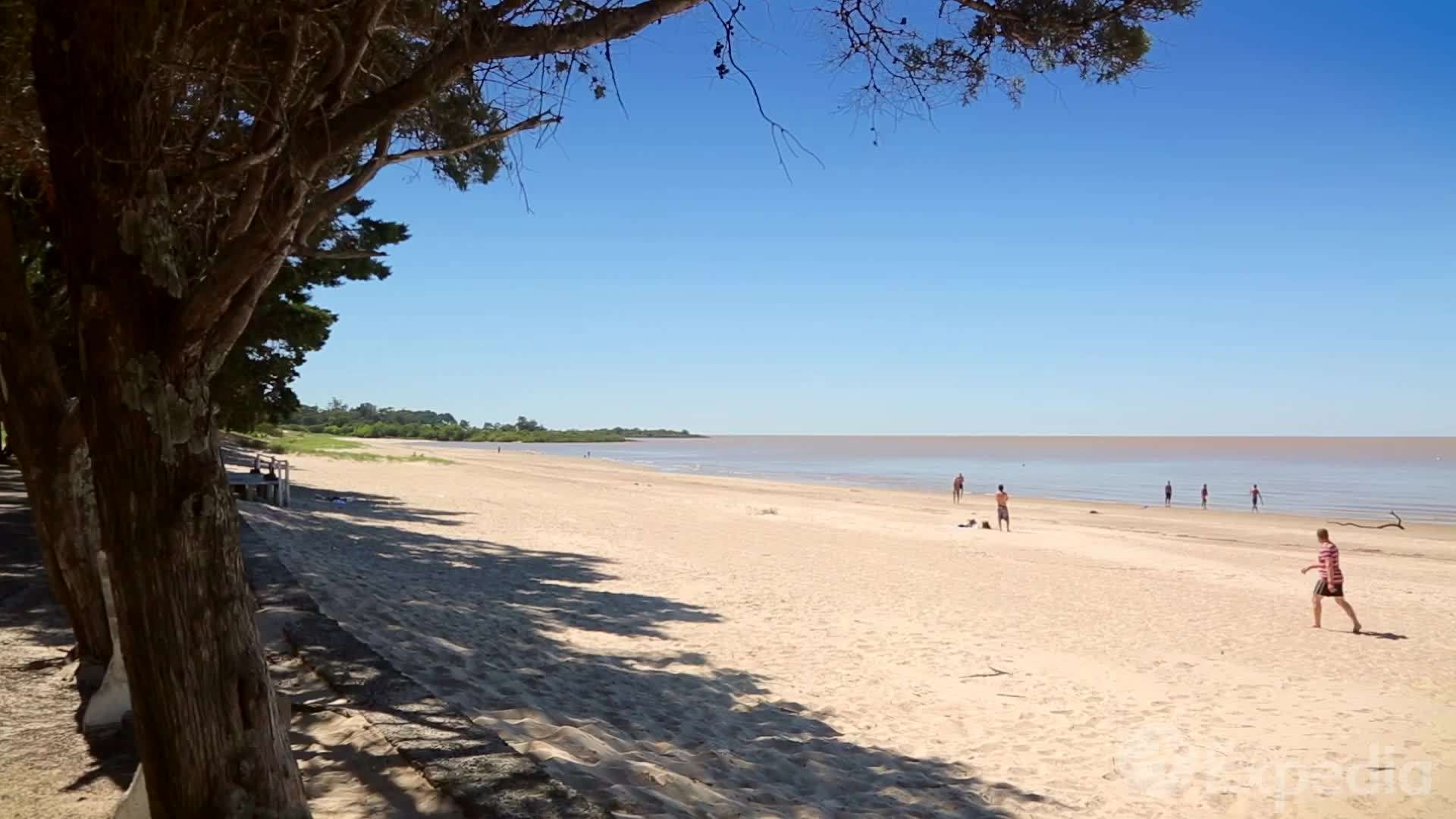 Montepost Carnival - Festive Atmosphere