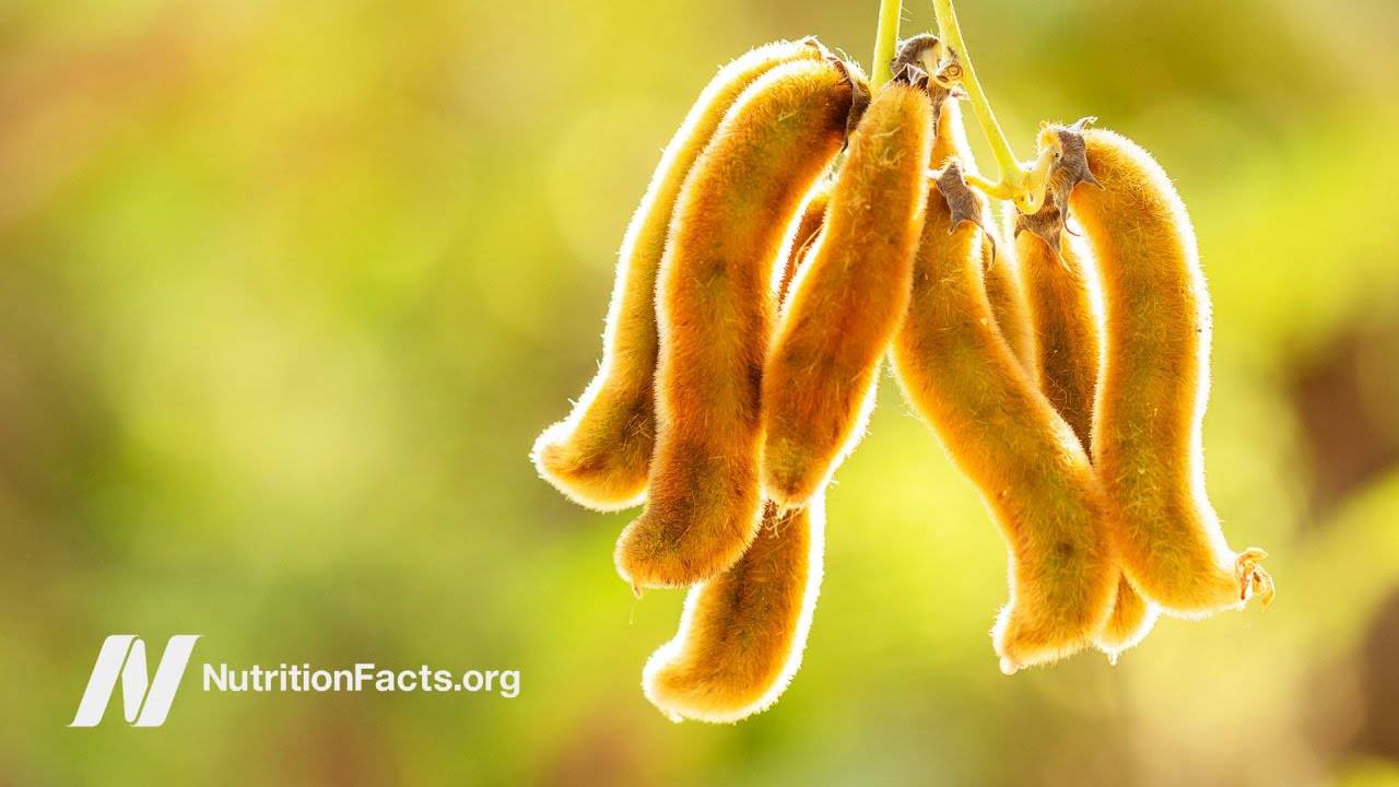 Treating Parkinson’s Disease with Velvet Beans: A Natural Remedy