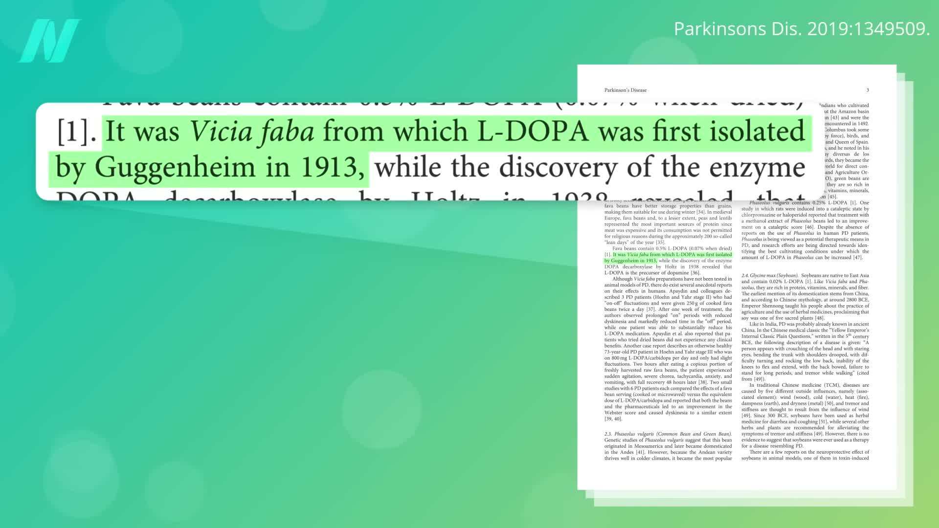 Velvet bean capsules are a convenient way to consume levodopa